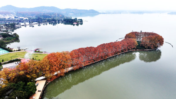 武汉东湖水天相映，色彩斑斓