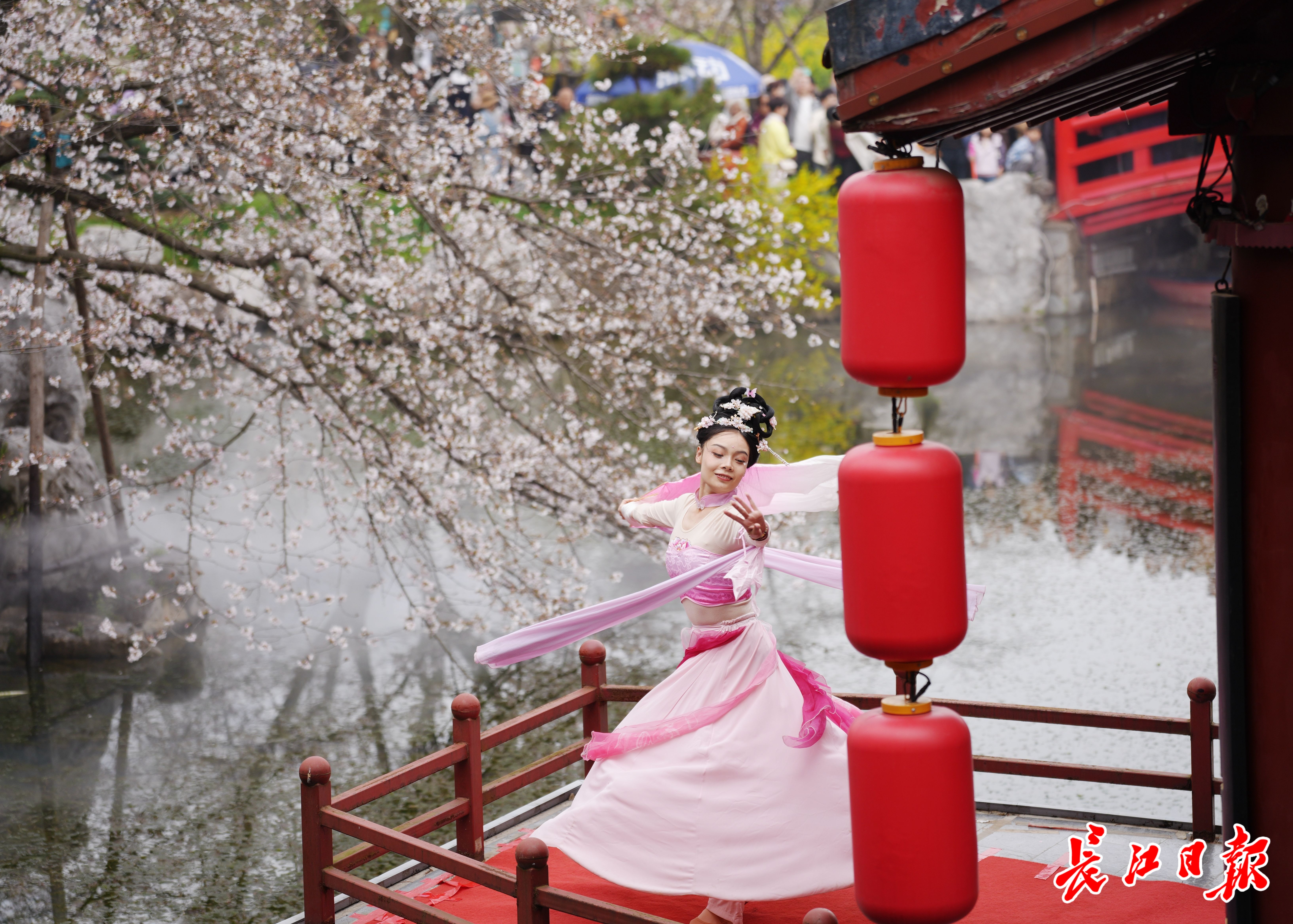 武汉东湖樱花园满园樱花全面盛放，最佳观赏期到了！一起来武汉东湖磨山樱花园看樱花吧(图3)